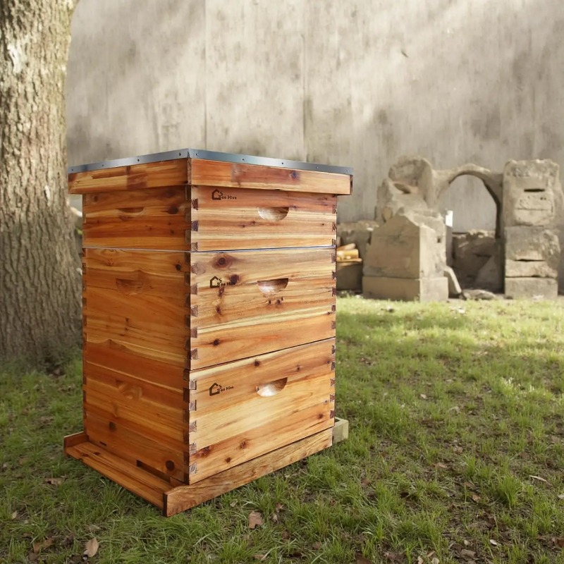 Beehive Frame Wax - 10 Çerçeveli Tam Arı Kovanı Seti,