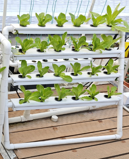 Hydroponic Nft Channel - MINI 24 Delikli Dikey Hidroponik Sistem