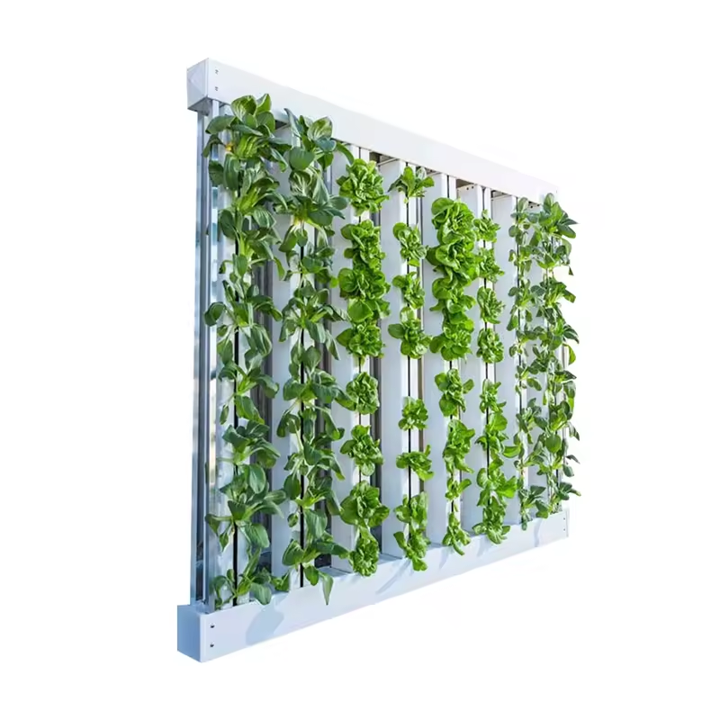Hydroponic Nft Channel - PVC Boru Tarımsal Sera Sebze Yetiştirme
