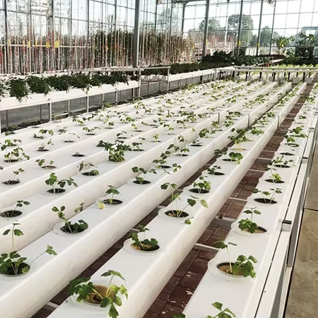 Hydroponic Nft Channel - Ticari Hidroponik Bitki Sistemleri NFT Boru