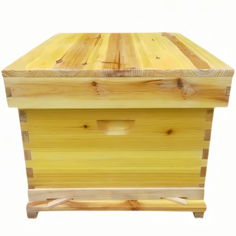 Beehive Frame Wax - Arı Kutusunda Arı Kovanı, Tam Set