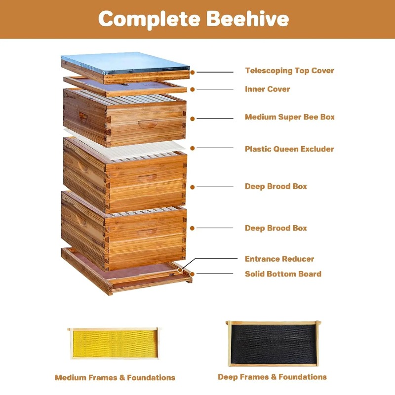 10 Çerçeveli Tam Arı Kovanı Se - Beehive Frame Wax incelemesi ve fiyatı