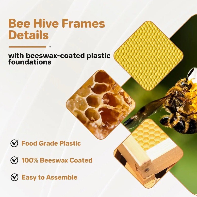 10 Çerçeveli Tam Arı Kovanı Se - Beehive Frame Wax incelemesi ve fiyatı