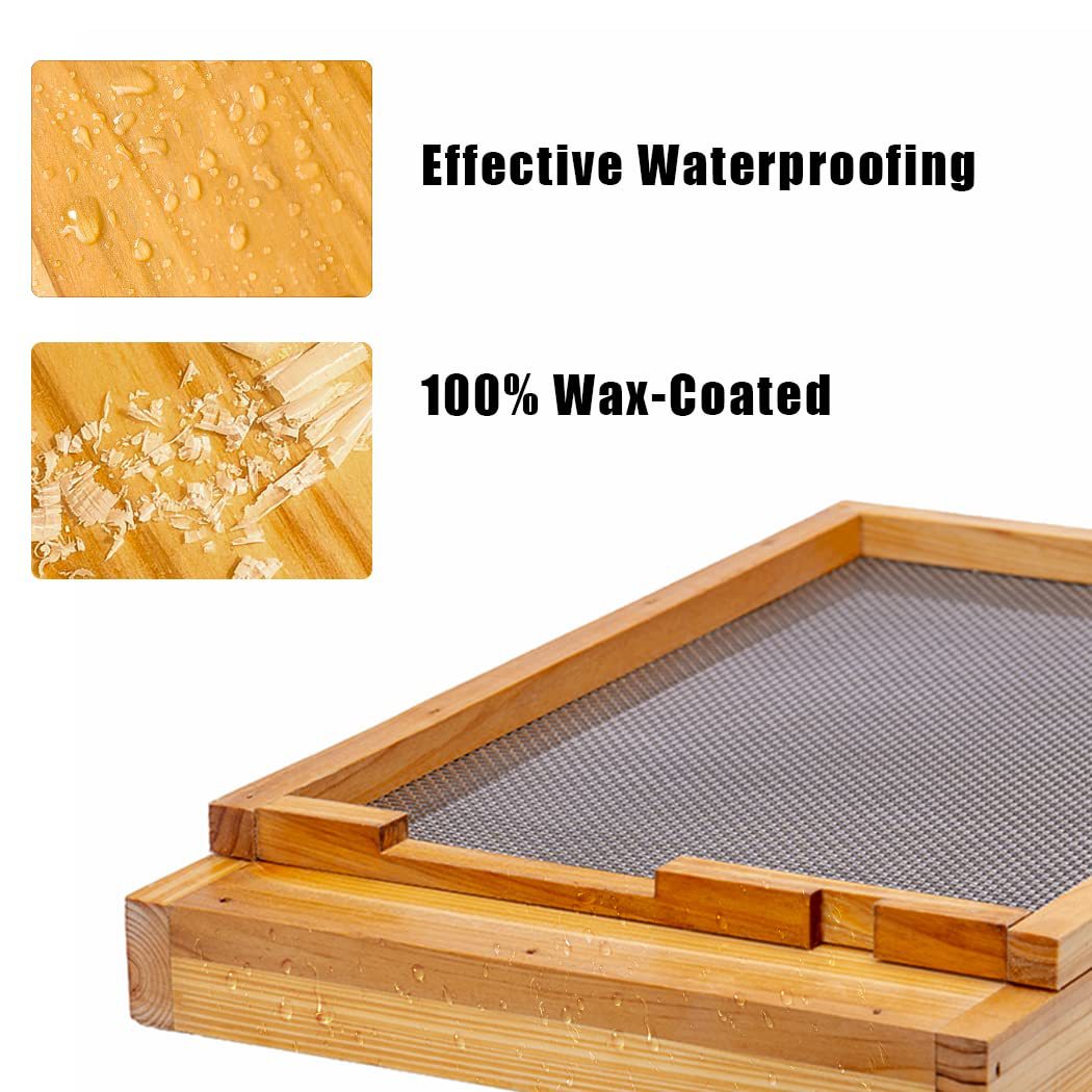 On çerçeveli arı kovanı, özel  - Beehive Frame Wax incelemesi ve fiyatı