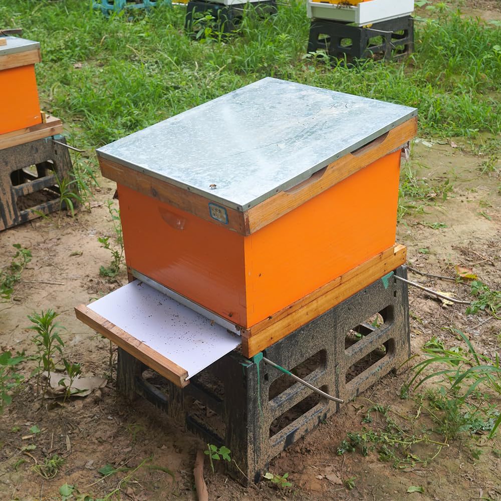 On çerçeveli arı kovanı, özel  - Beehive Frame Wax incelemesi ve fiyatı