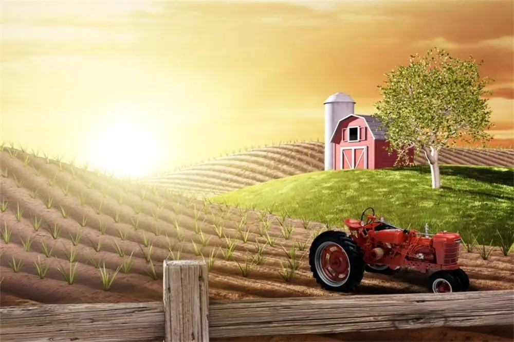 Sabah Yoğun Çiftlik Taze Gün D - Agriculture Farming Background incelemesi ve fiyatı