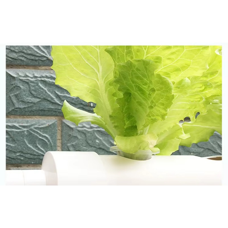 Kolay Kurulum 36 Delikli PVC K - Hydroponic Nft Channel incelemesi ve fiyatı