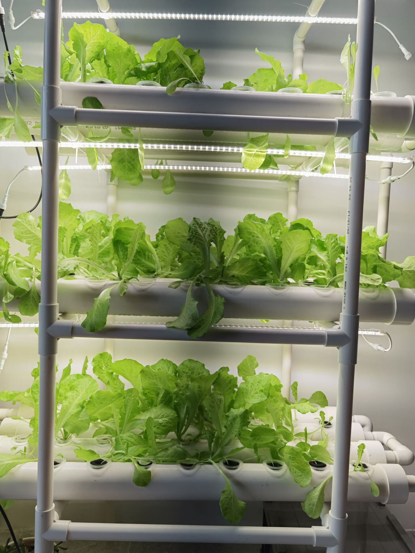 Fabrika Çıkışlı 3 Katmanlı Dik - Hydroponic Nft Channel incelemesi ve fiyatı