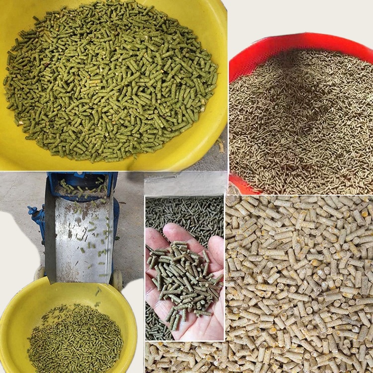 Hayvan Yemleri için Pelet Maki - Wood Pellet Making Machine incelemesi ve fiyatı