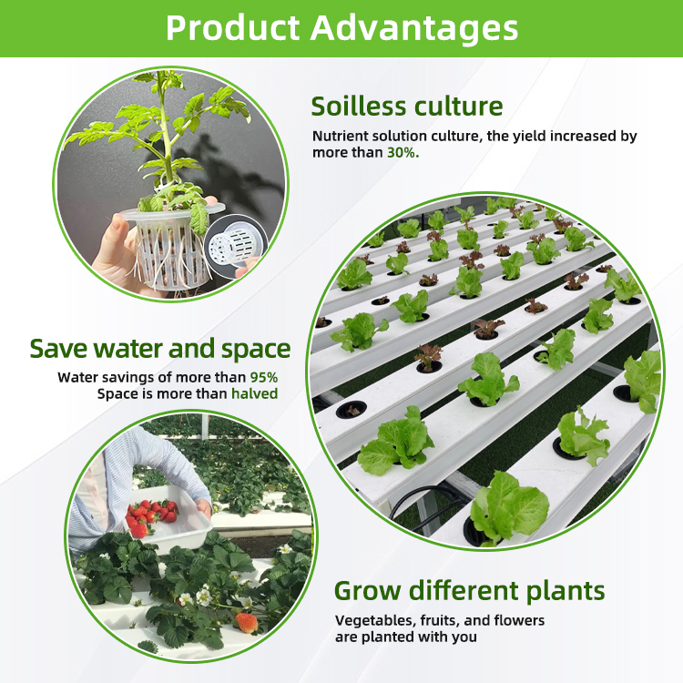NFT Hidroponik PVC Kanal Sulam - Hydroponic Nft Channel incelemesi ve fiyatı